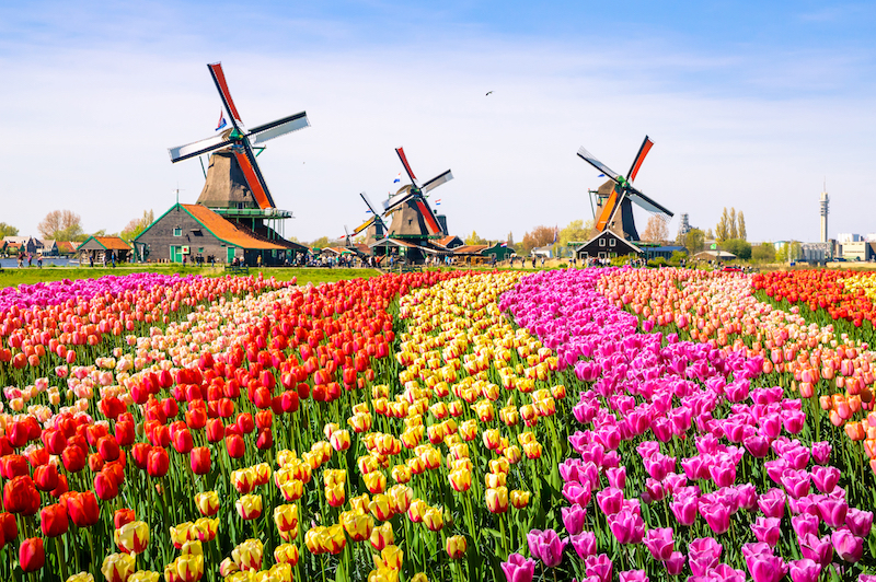 Hollanda Seyahat Rehberi | Seyahatim